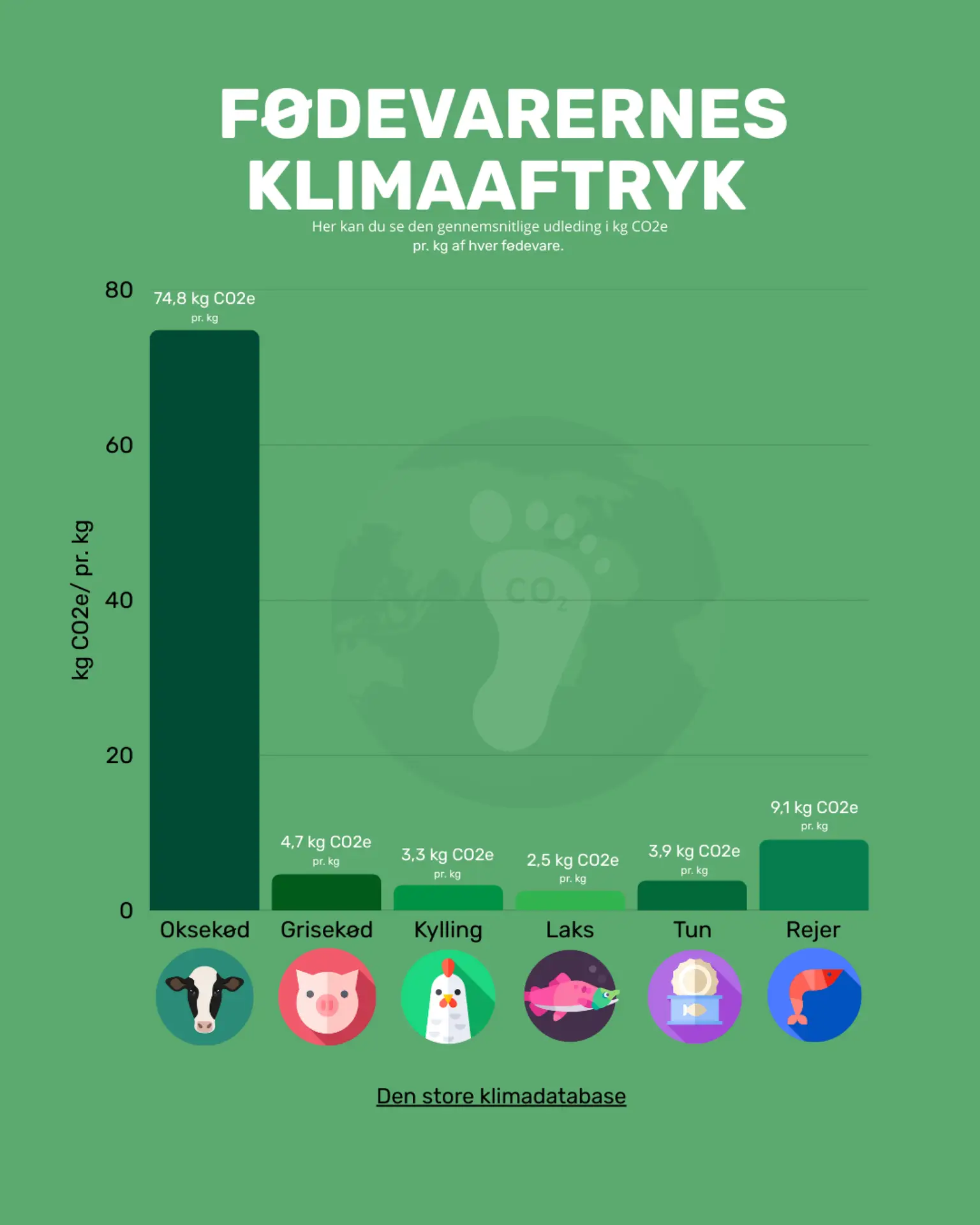 Fødevarernes Klimaaftryk. Oksekød stikker voldsomt ud. Data fra Den store Klimadatabase.